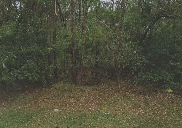Photo 1 of Land for sale at 105 Rhode Is Ave, Satsuma, FL 32189 | MLS# OM715765 | Listing updated on 2025-12-31