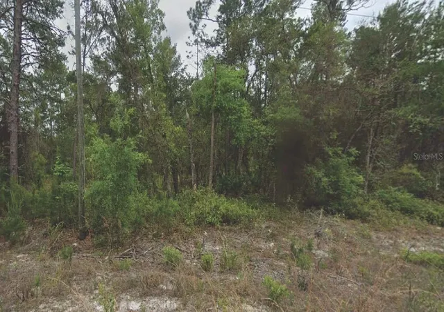 Photo 1 of Land for sale at 120 New York Ave, Satsuma, FL 32189 | MLS# OM715767 | Listing updated on 2025-12-31