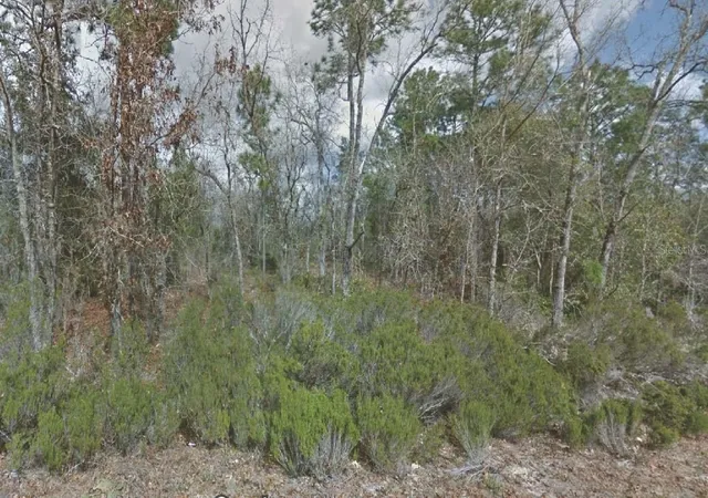 Photo 1 of Land for sale at 217 Cypress St, Interlachen, FL 32148 | MLS# OM715769 | Listing updated on 2025-12-31