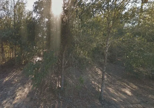 Photo 1 of Land for sale at 304 California Ave, Interlachen, FL 32148 | MLS# OM715771 | Listing updated on 2025-12-31