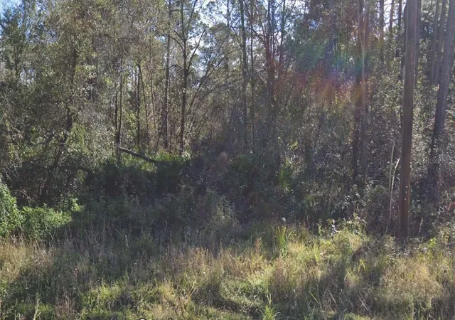 Photo 1 of Land for sale at 104 Donald R Blvd, Palatka, FL 32177 | MLS# OM715772 | Listing updated on 2025-12-31