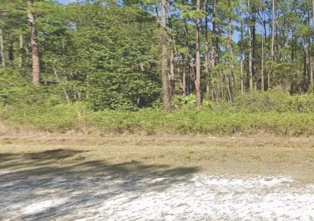 Photo 1 of Land for sale at 226 Terri Ave, Georgetown, FL 32139 | MLS# OM715774 | Listing updated on 2025-12-31