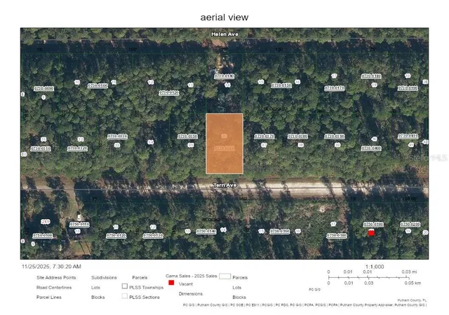 Photo 2 of Land for sale at 226 Terri Ave, Georgetown, FL 32139 | MLS# OM715774 | Listing updated on 2025-12-31