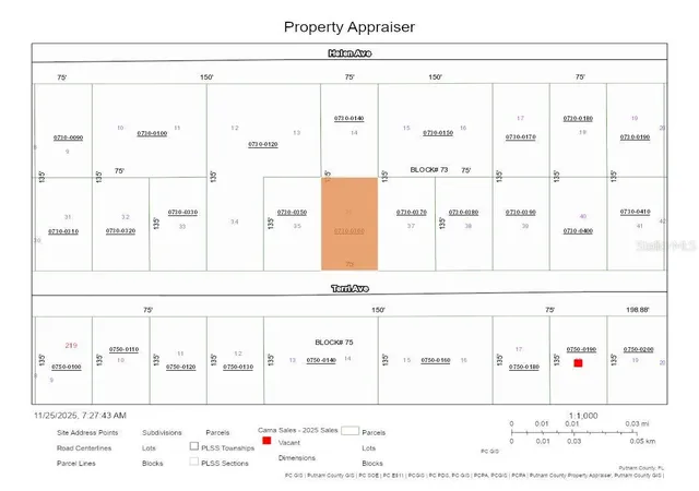 Photo 3 of Land for sale at 226 Terri Ave, Georgetown, FL 32139 | MLS# OM715774 | Listing updated on 2025-12-31