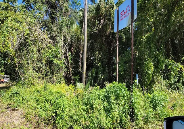 2nd image of Lakeview St, Deland, FL 32724 | MLS# V4946495