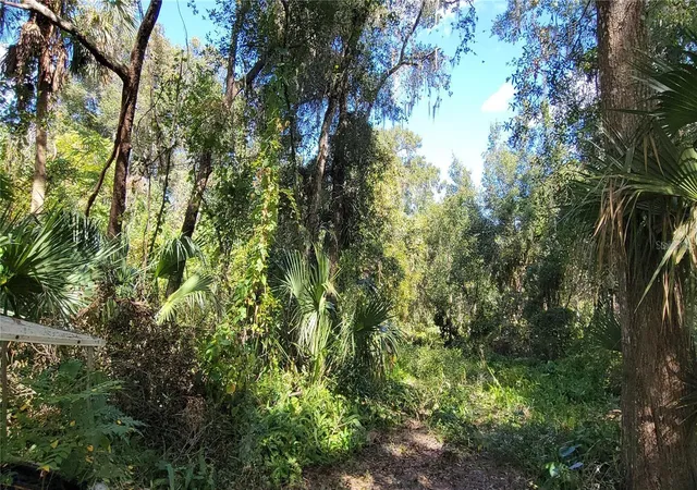 5th image of Lakeview St, Deland, FL 32724 | MLS# V4946495
