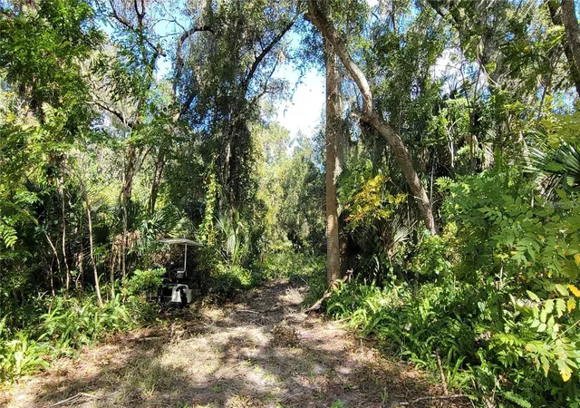 7th image of Lakeview St, Deland, FL 32724 | MLS# V4946495