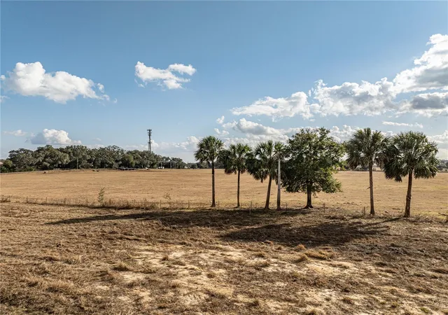 Photo 2 of Land for sale at County Rd 101, Oxford, FL 34484 | MLS# G5106013 | Listing updated on 2026-06-04