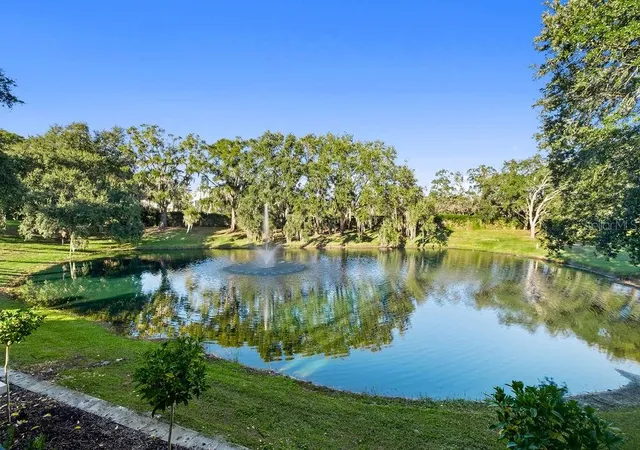 Photo 4 of Single family home for sale at 9725 Chestnut Ridge Dr, Windermere, FL 34786 | MLS# O6370294 | Listing updated on 2026-09-22