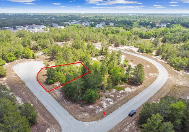 Homes for sale in Kissimmee, FL | 602 Homosassa Wy, Kissimmee, FL 34759 | MLS# O6370356
