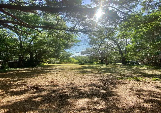 Photo 1 of Land for sale at 47 Oak St, Winter Garden, FL 34787 | MLS# O6370459 | Listing updated on 2026-06-25