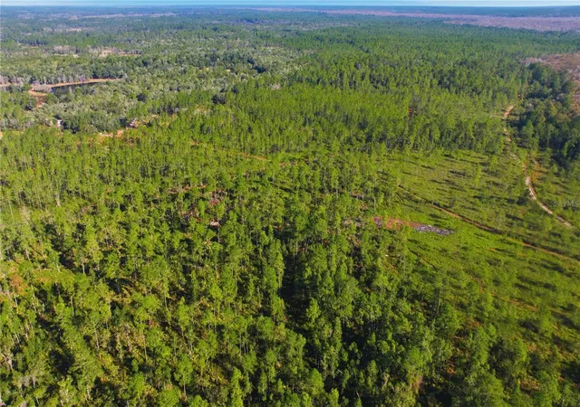 Photo 3 of Land for sale at Tbd NE (lot 5) 115th Ln Rd, Fort Mc Coy, FL 32134 | MLS# OM715896 | Listing updated on 2026-07-21