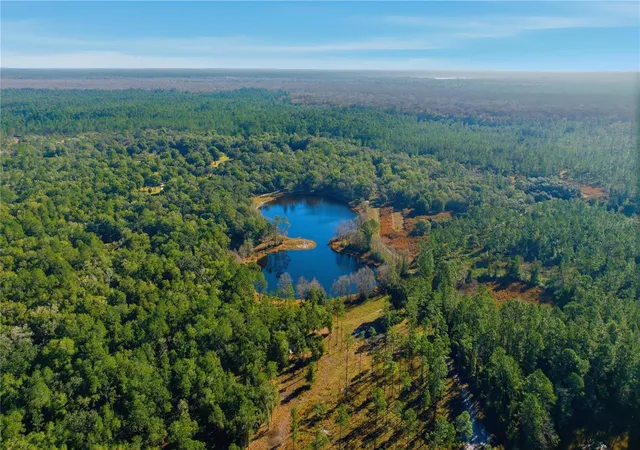 Photo 3 of Land for sale at Tbd Ne (lot 6) 115th Ln Rd, Fort Mc Coy, FL 32134 | MLS# OM715902 | Listing updated on 2026-07-21