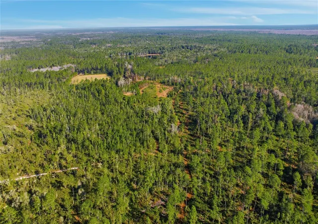 Photo 3 of Land for sale at Tbd NE (lot 6) 115th Ln Rd, Fort Mc Coy, FL 32134 | MLS# OM715902 | Listing updated on 2026-07-21