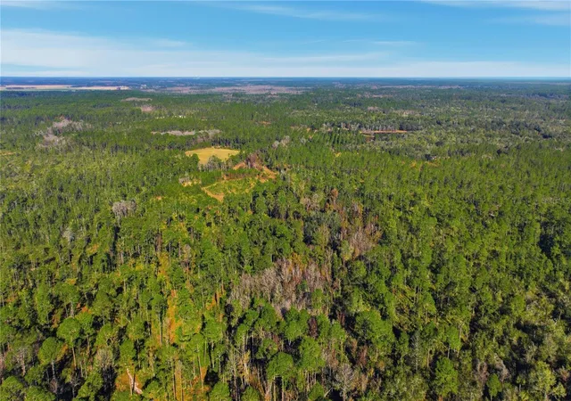 Photo 4 of Land for sale at Tbd NE (lot 6) 115th Ln Rd, Fort Mc Coy, FL 32134 | MLS# OM715902 | Listing updated on 2026-07-21