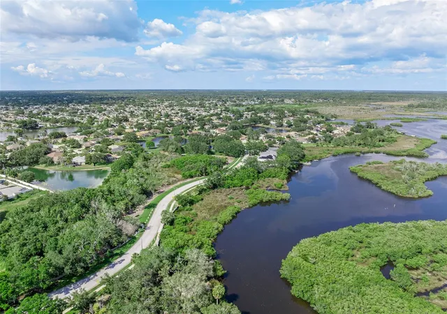 68th image of 1291 Blackrush Dr, Tarpon Springs, FL 34689 | MLS# O6370580