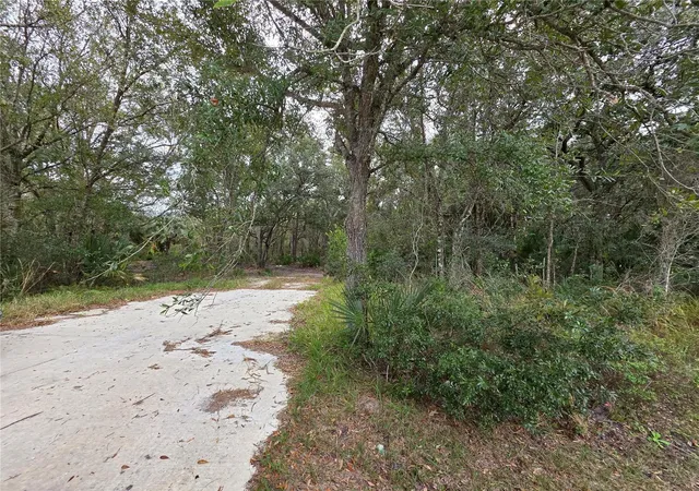 1st image of 0 State Road 60 E, Lake Wales, FL 33898 | MLS# P4937405