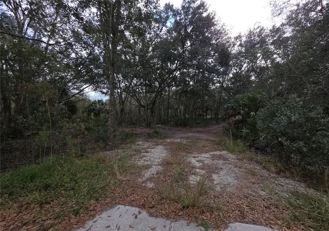 3rd image of 0 State Road 60 E, Lake Wales, FL 33898 | MLS# P4937405