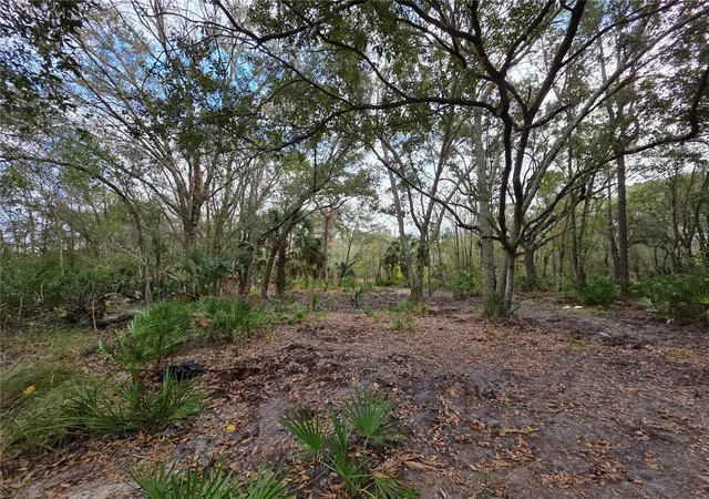 4th image of 0 State Road 60 E, Lake Wales, FL 33898 | MLS# P4937405