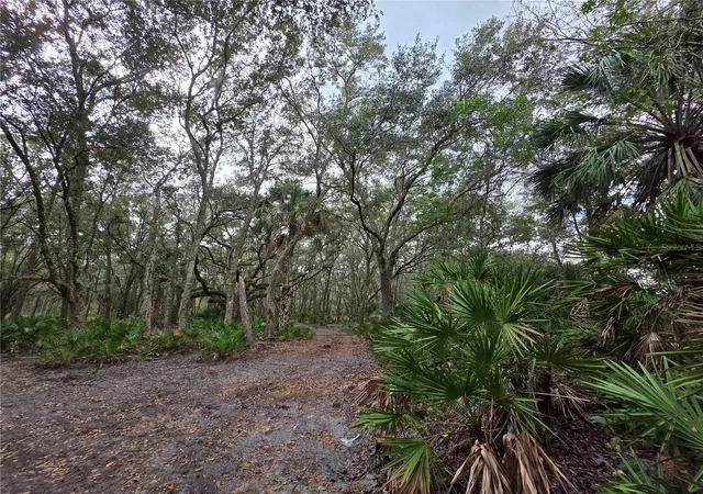 5th image of 0 State Road 60 E, Lake Wales, FL 33898 | MLS# P4937405