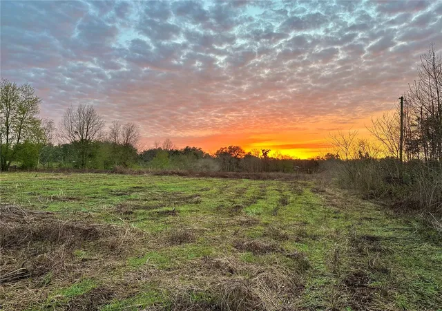 Photo 3 of Land for sale at 13844 Nw 21st Court, Citra, FL 32113 | MLS# OM715965 | Listing updated on 2026-08-26