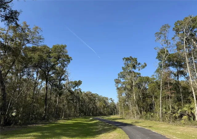 15th image of Irvine Acres #3 (10ac) W Hwy 318, Reddick, FL 32686 | MLS# OM715979