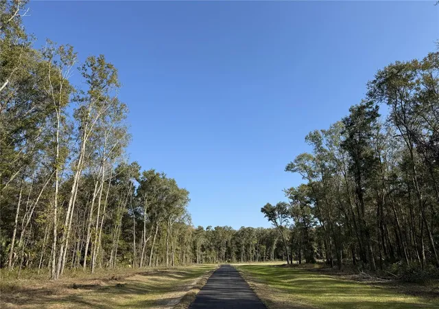 1st image of Irvine Acres #3 (10ac) W Hwy 318, Reddick, FL 32686 | MLS# OM715979