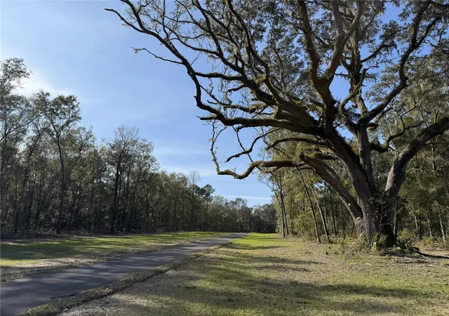 3rd image of Irvine Acres #3 (10Ac) W Hwy 318, Reddick, FL 32686 | MLS# OM715979