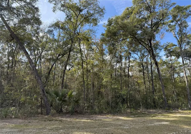 5th image of Irvine Acres #3 (10Ac) W Hwy 318, Reddick, FL 32686 | MLS# OM715979