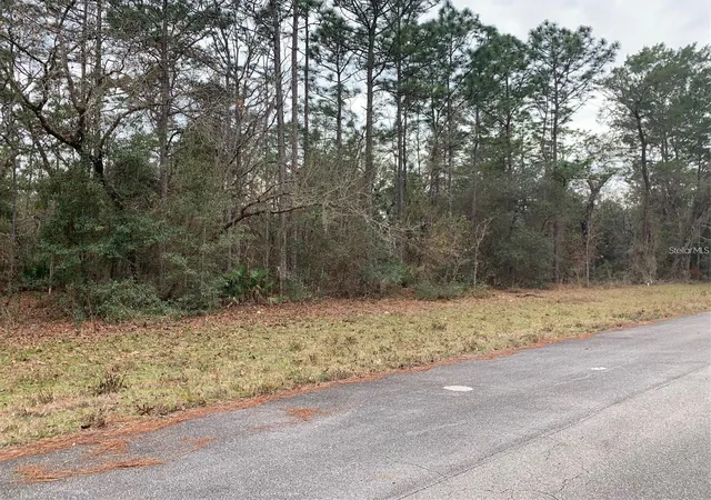 Photo 1 of Land for sale at 156 Street, Ocala, FL 34473 | MLS# S5141073 | Listing updated on 2026-07-27