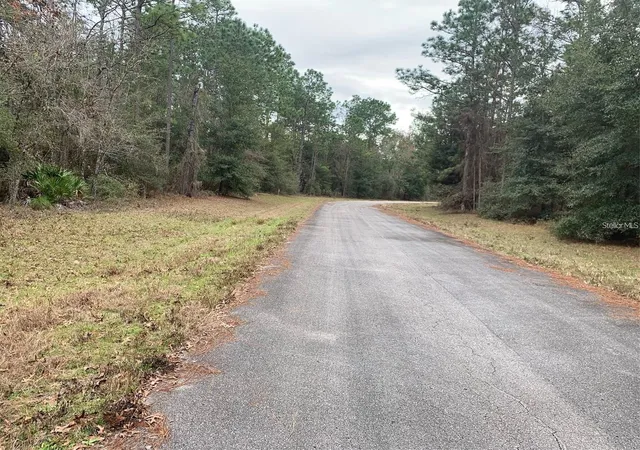 Photo 3 of Land for sale at 156 Street, Ocala, FL 34473 | MLS# S5141073 | Listing updated on 2026-07-27
