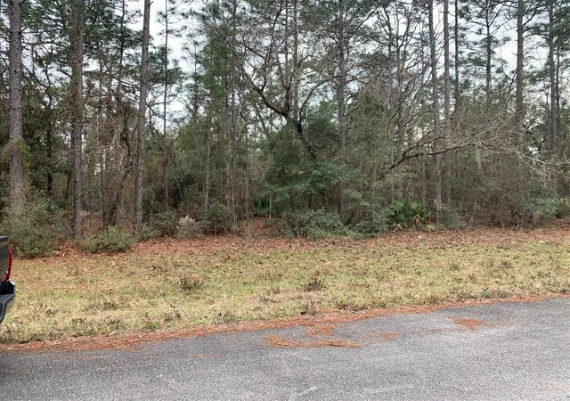 Photo 4 of Land for sale at 156 Street, Ocala, FL 34473 | MLS# S5141073 | Listing updated on 2026-07-27