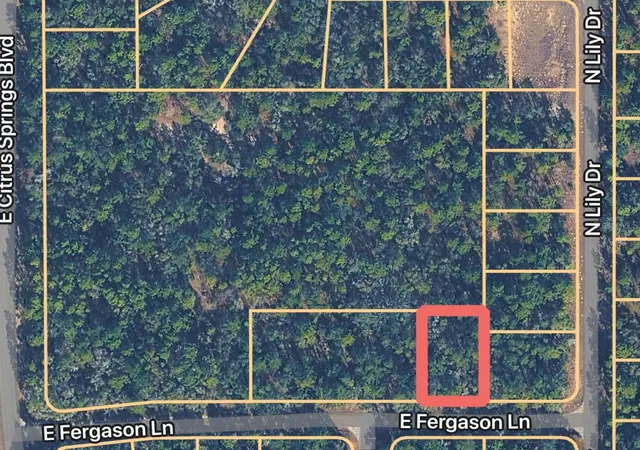 Homes for sale in Dunnellon, FL | 1409 E Fergason Ln, Dunnellon, FL 34434 | MLS# OM716057