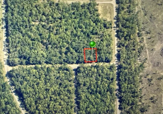 Homes for sale in Dunnellon, FL | 1409 E Fergason Ln, Dunnellon, FL 34434 | MLS# OM716057