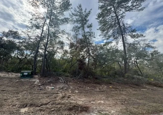 Photo 2 of Land for sale at 0 Sw 25th Court, Ocala, FL 34473 | MLS# OM716131 | Listing updated on 2026-08-13