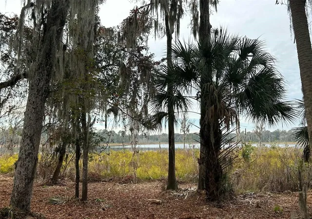 3rd image of Faye St, Hawthorne, FL 32640 | MLS# O6371460