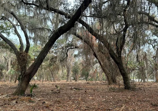4th image of Faye St, Hawthorne, FL 32640 | MLS# O6371460