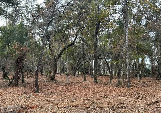 5th image of Faye St, Hawthorne, FL 32640 | MLS# O6371460
