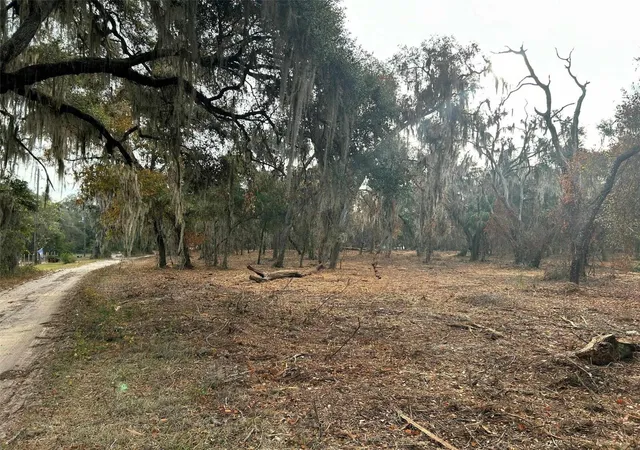6th image of Faye St, Hawthorne, FL 32640 | MLS# O6371460