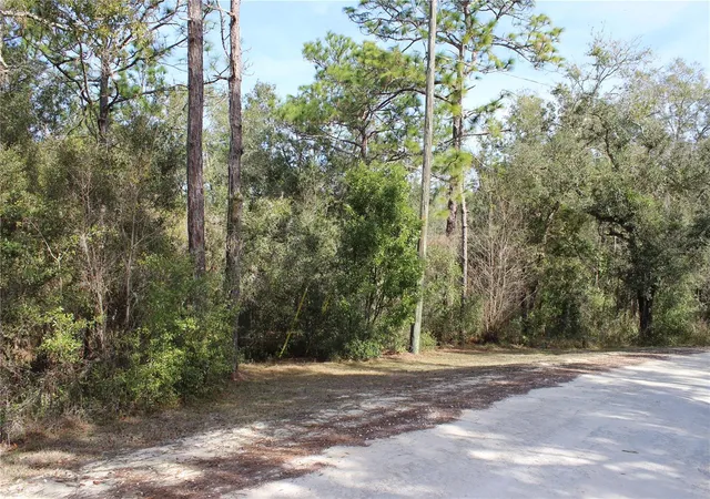 Homes for sale in Dade City, FL | 34273 Belt Dr, Dade City, FL 33523 | MLS# W7881851