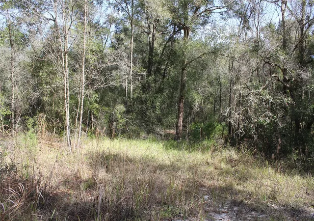 Homes for sale in Dade City, FL | 34273 Belt Dr, Dade City, FL 33523 | MLS# W7881851