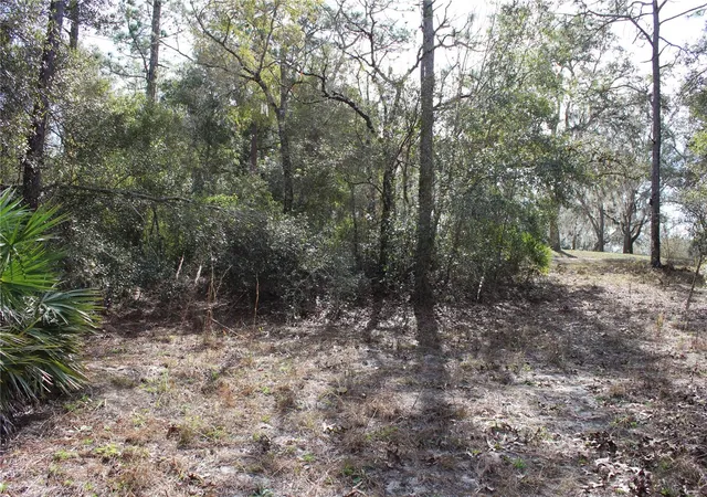 Homes for sale in Dade City, FL | 34273 Belt Dr, Dade City, FL 33523 | MLS# W7881851