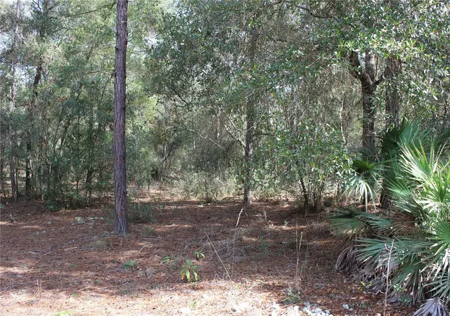 Homes for sale in Dade City, FL | 34273 Belt Dr, Dade City, FL 33523 | MLS# W7881851