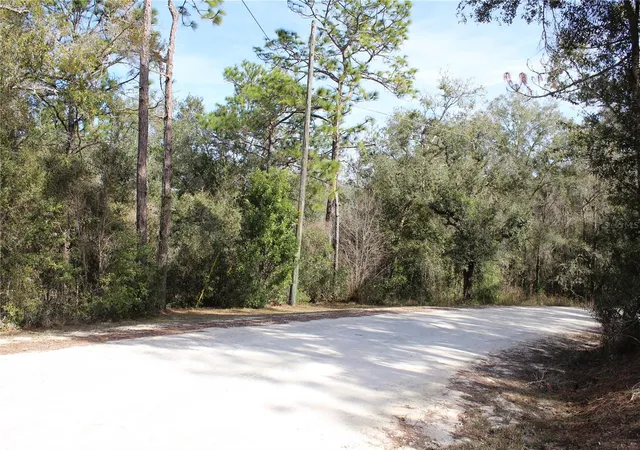Homes for sale in Dade City, FL | 34273 Belt Dr, Dade City, FL 33523 | MLS# W7881851