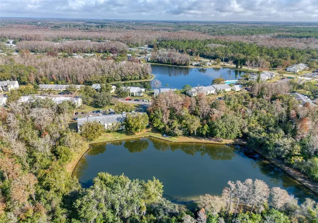 2nd image of 3134 Lake Pine Wy, TARPON SPRINGS, FL 34688