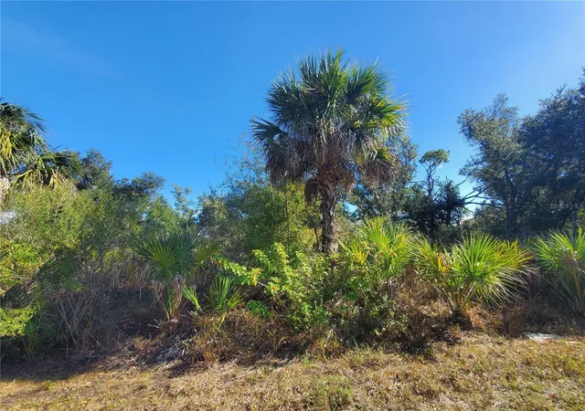Photo 4 of Land for sale at 1520 Capel St, Port Charlotte, FL 33953 | MLS# C7519828 | Listing updated on 2026-09-03