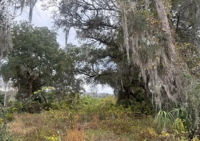 Photo 3 of Land for sale at Se 175th Terrace, Silver Springs, FL 34488 | MLS# OM716227 | Listing updated on 2026-08-11