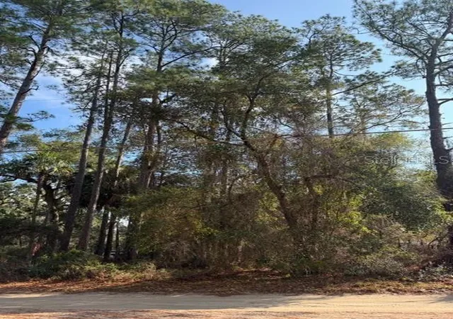Land for sale at Tbd NE 236 Terrace, FORT MC COY, FL 32134 | MLS# OM716278
