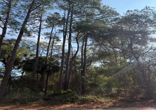 Photo 2 of Land for sale at Tbd Ne 236 Terrace, Fort Mc Coy, FL 32134 | MLS# OM716278 | Listing updated on 2026-08-11