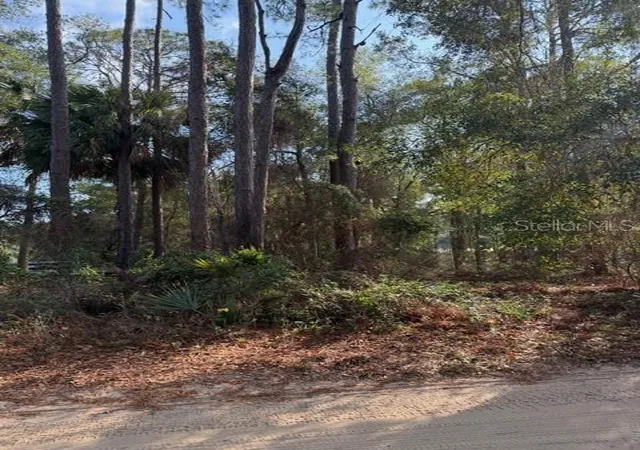Photo 3 of Land for sale at Tbd Ne 236 Terrace, Fort Mc Coy, FL 32134 | MLS# OM716278 | Listing updated on 2026-08-11